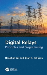 bokomslag Digital Relays