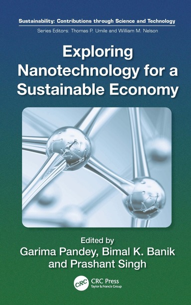 Bimal Krishna Banik, Prashant Singh, Garima Pandey - Exploring Nanotechnology for a Sustainable Economy, Inbunden