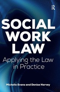 bokomslag Social Work Law