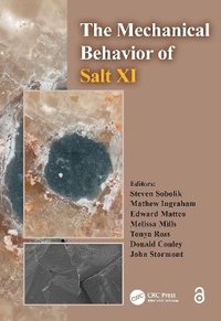 bokomslag Mechanical Behavior of Salt XI