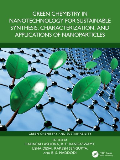 Hadagali Ashoka, B. E. Rangaswamy, Usha Desai, Rakesh Sengupta, B. S. Maddodi - Green Chemistry in Nanotechnology for Sustainable Synthesis, Characterization, and Applications of Nanoparticles, Inbunden