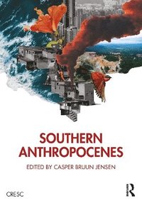 bokomslag Southern Anthropocenes