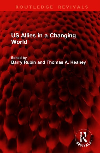 Barry Rubin, Thomas A. Keaney - US Allies in a Changing World, Inbunden