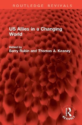 bokomslag US Allies in a Changing World