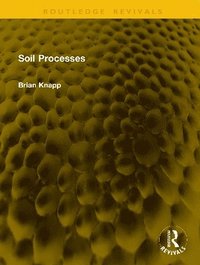 bokomslag Soil Processes