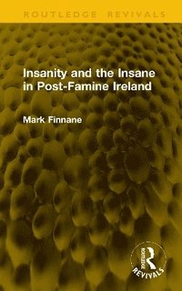 bokomslag Insanity and the Insane in Post-Famine Ireland
