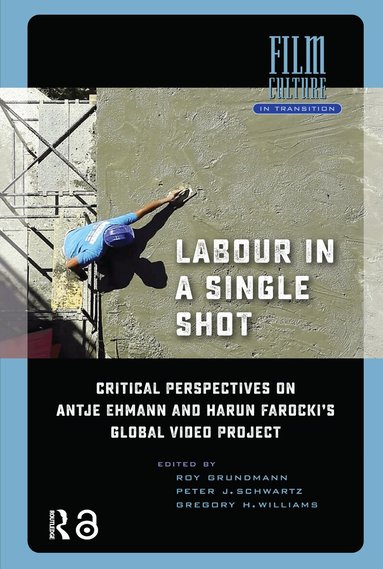 Roy Grundmann, Peter Schwartz, Gregory Williams - Labour in a Single Shot, Häftad