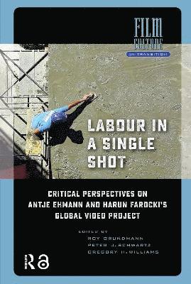 Roy Grundmann, Peter Schwartz, Gregory Williams - Labour in a Single Shot, Häftad