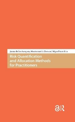 Jaume Belles-Sampera, Montserrat Guillén, Miguel Santolino - Risk Quantification and Allocation Methods for Practitioners, Häftad
