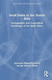 bokomslag Small States in the Shatter Belts