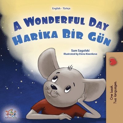 Sam Sagolski, Kidkiddos Books - A Wonderful Day (English Turkish Bilingual Children's Book), Häftad