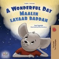 Sam Sagolski, Kidkiddos Books - A Wonderful Day (English Somali Bilingual Children's Book), Häftad. Tillgänglighet: Lägg i varukorg