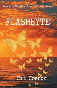 bokomslag Flashbyte