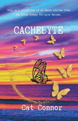 Cachebyte 1