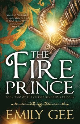 bokomslag Fire Prince