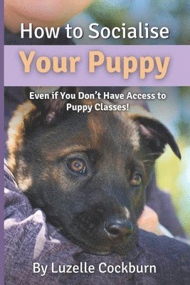 bokomslag How to Socialise Your Puppy: Even if you don't have access to puppy classes!