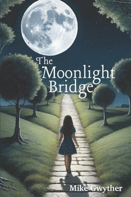 bokomslag Moonlight Bridge