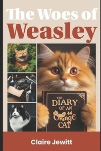 bokomslag The Woes of Weasley: The Diary of an Orange Cat