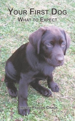 bokomslag Your First Dog