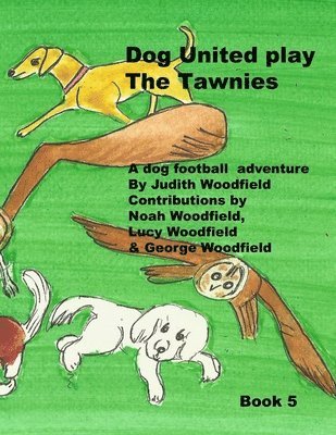 bokomslag Dog United play the Tawnies