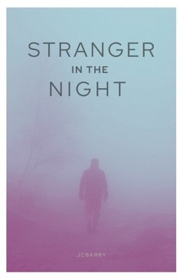 bokomslag Stranger in the Night