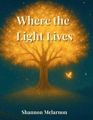 bokomslag Where the Light Lives