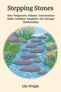 bokomslag Stepping Stones: