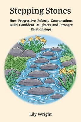 bokomslag Stepping Stones: