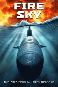 bokomslag Fire Sky