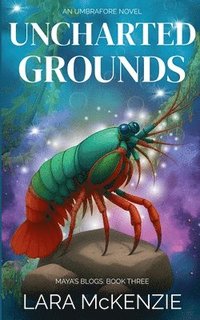bokomslag Uncharted Grounds