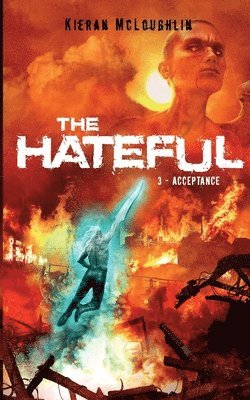 bokomslag Hateful