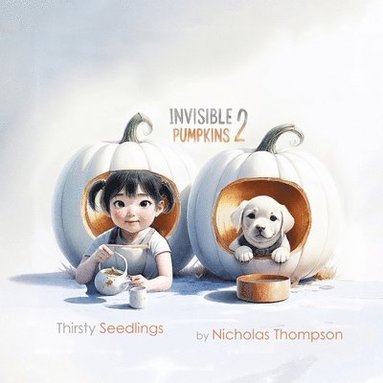 bokomslag Invisible Pumpkins 2