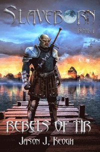 bokomslag Rebels of Tír
