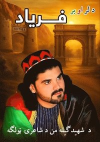 bokomslag Da Lar o Bar Faryad