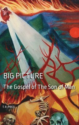 Price, T. R. Price, T. R. PRICE - Big Picture, Inbunden