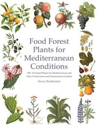 bokomslag Food Forest Plants for Mediterranean Conditions: 350+ Perennial Plants For Mediterranean and Drier Food Forests and Permaculture Gardens