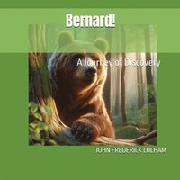 bokomslag Bernard! A Journey of Discovery