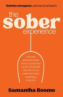 The Sober Experience 1