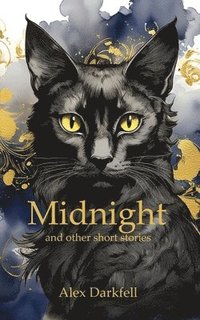 bokomslag Midnight and Other Short Stories