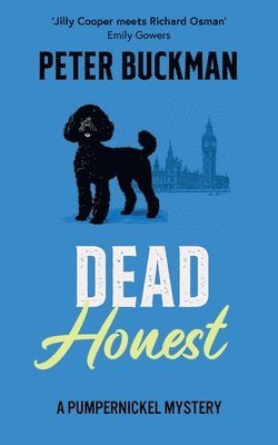 bokomslag Dead Honest