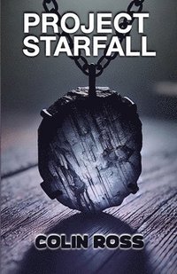 bokomslag Project Starfall: disGrace City