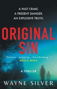 bokomslag Original Sin