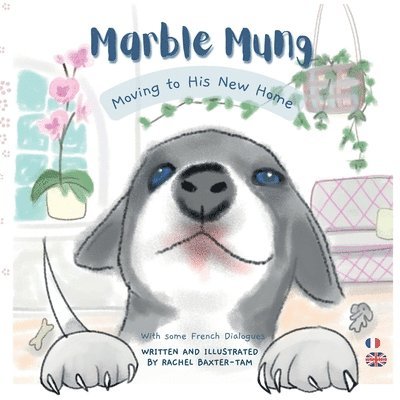 Marble Mung Moving to His New Home 1