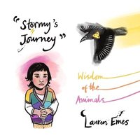 bokomslag Stormys Journey