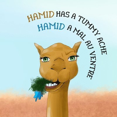 Hamid has a tummy ache - English - French Bilingual Book
