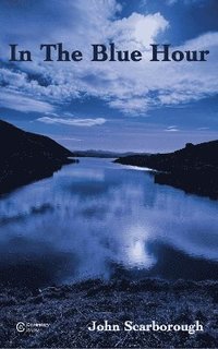 bokomslag In The Blue Hour
