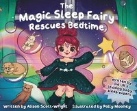 bokomslag Magic Sleep Fairy Rescues Bedtime