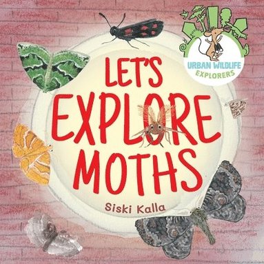 bokomslag Let's Explore Moths