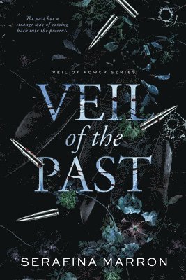 bokomslag Veil of the Past