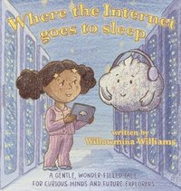 bokomslag Where the Internet Goes to Sleep